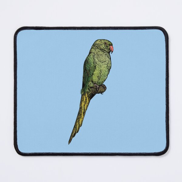 Item preview, Rose-ringed Ring-necked Parakeet Black Alternate Design designed and sold by designsasstultd.