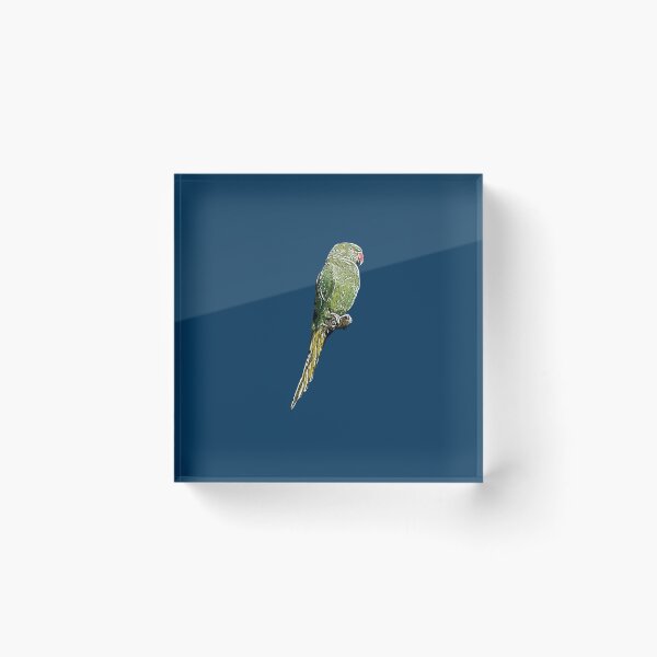 Item preview, Rose-ringed Ring-necked Parakeet White Alternate Design  designed and sold by designsasstultd.