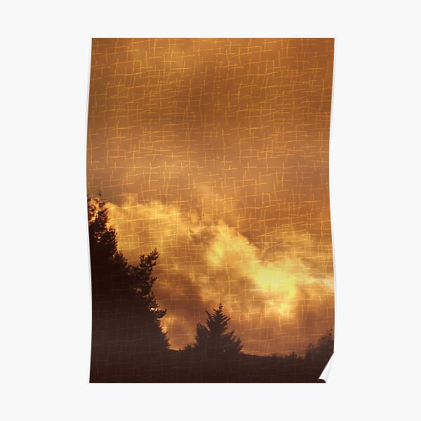Coucher de forêt Poster
