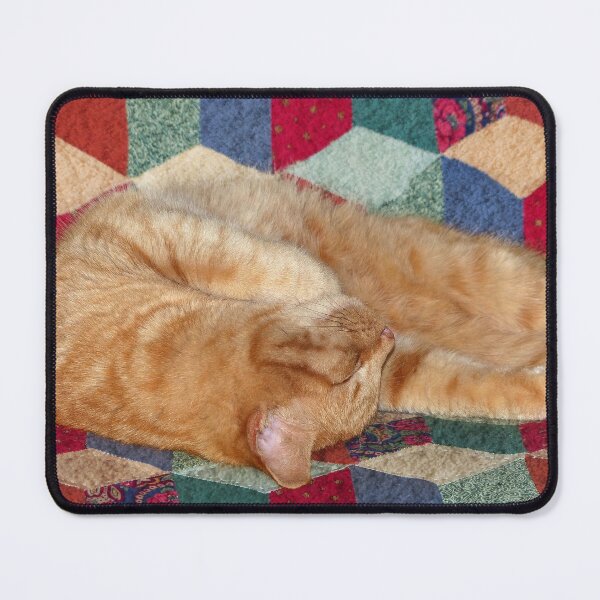 Item preview, Ginger Cat Napping designed and sold by Frankie Cat Photography.