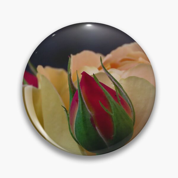 Item preview, Two Buds that Rose  designed and sold by Abis-photos.