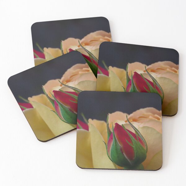 Item preview, Two Buds that Rose  designed and sold by Abis-photos.