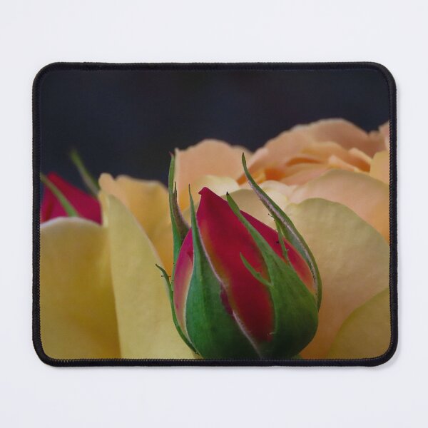 Item preview, Two Buds that Rose  designed and sold by Abis-photos.
