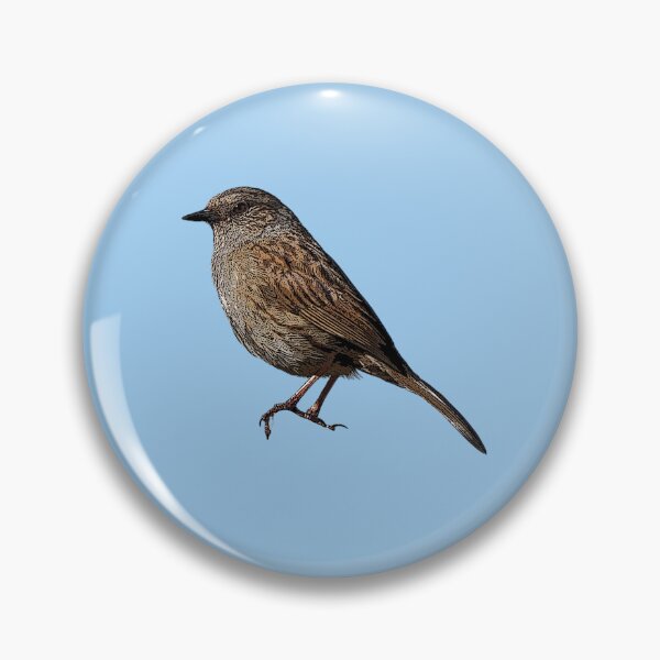 Artikelvorschau, Dunnock Hedge Sparrow Farbdesign entworfen und verkauft von designsasstultd.