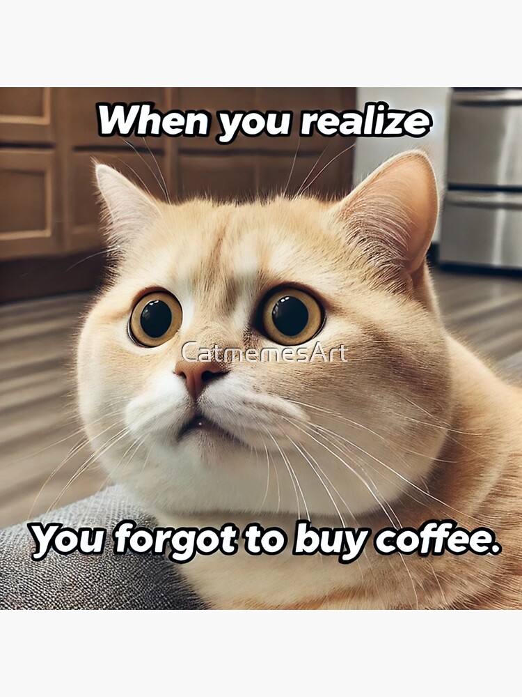 Cat Waking Up Meme When You Realize You Forgot to Buy Coffee