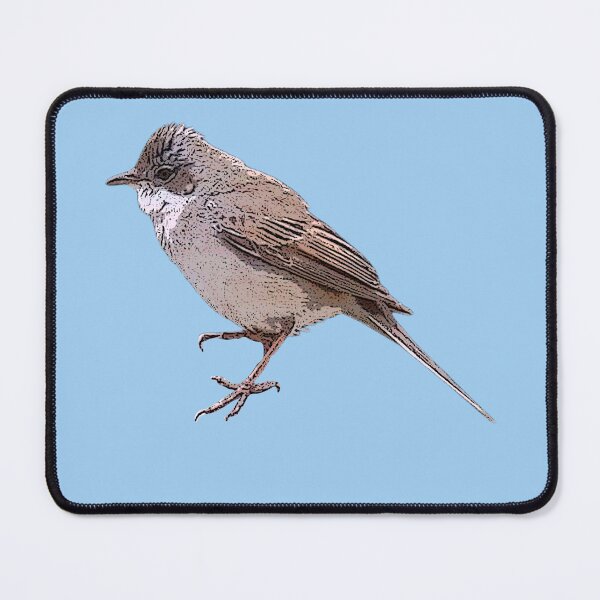 Item preview, Greater Whitethroat Color Design designed and sold by designsasstultd.
