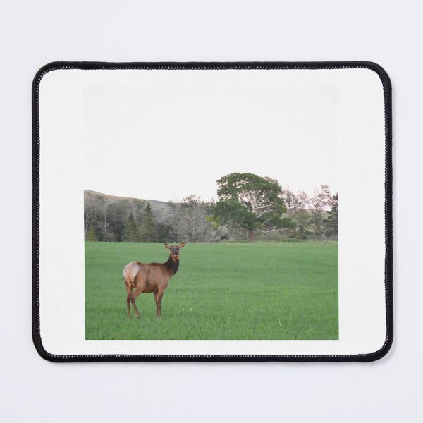 Item preview, An Albertan Elk designed and sold by amymayb.