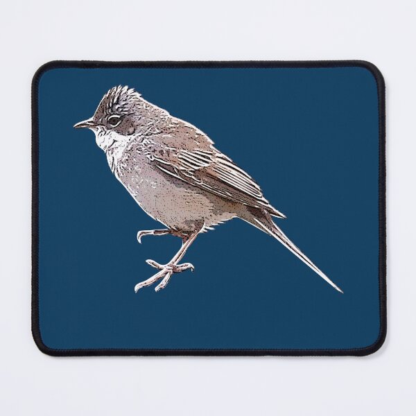 Item preview, Greater Whitethroat White Alternate Design  designed and sold by designsasstultd.