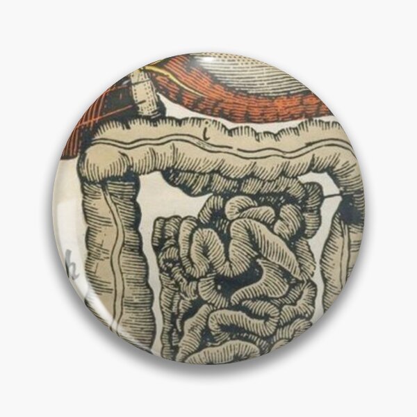 Item preview,  Anatomy Digestive System designed and sold by Weird-arts.