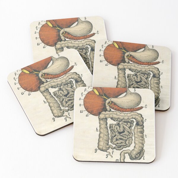 Item preview,  Anatomy Digestive System designed and sold by Weird-arts.