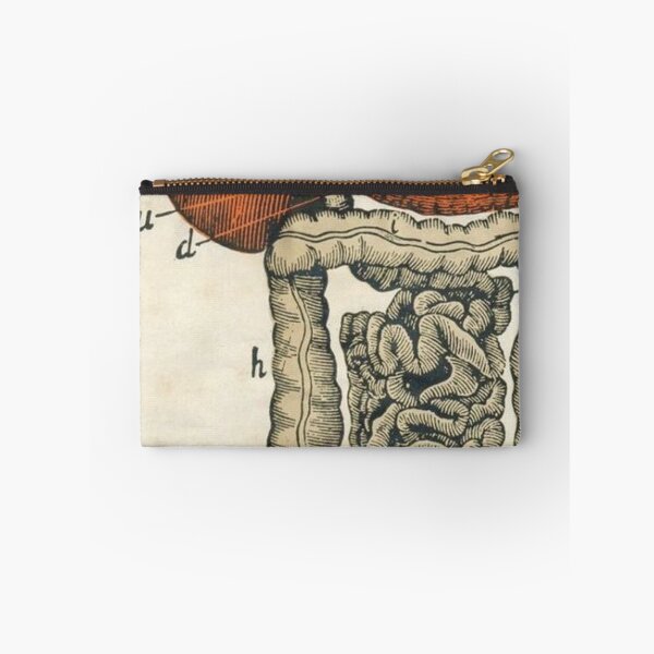 Item preview,  Anatomy Digestive System designed and sold by Weird-arts.