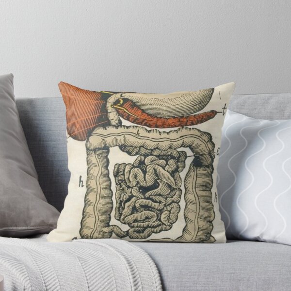 Item preview,  Anatomy Digestive System designed and sold by Weird-arts.