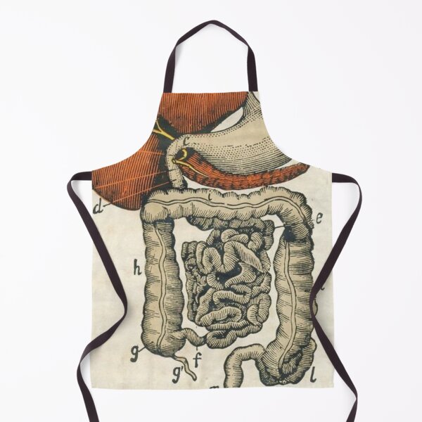 Item preview, Anatomy Digestive System designed and sold by Weird-arts.