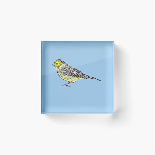 Item preview, Yellowhammer Black Alternate Design  designed and sold by designsasstultd.