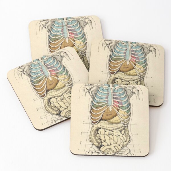 Item preview, Anatomy System designed and sold by Weird-arts.