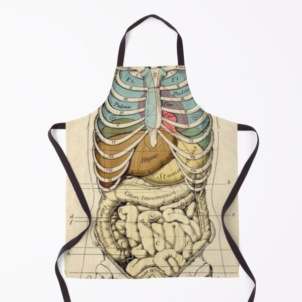 Item preview, Anatomy System designed and sold by Weird-arts.
