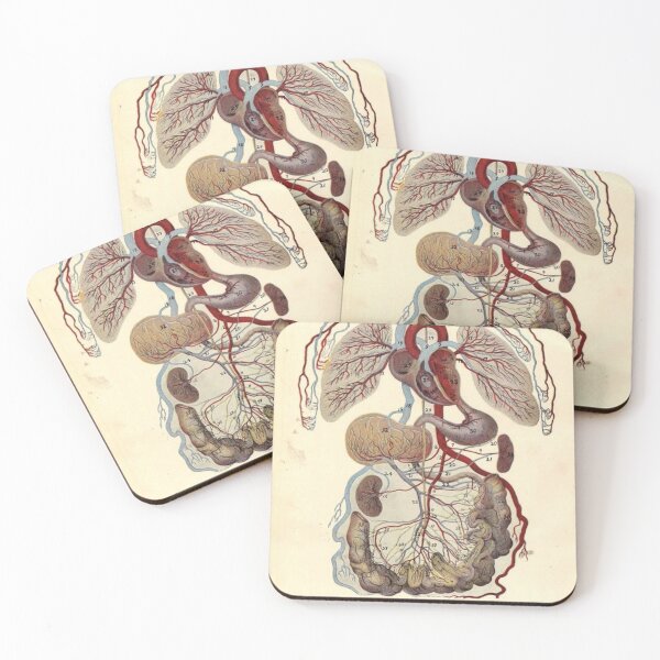 Item preview, Body Anatomy Knowledge designed and sold by Weird-arts.