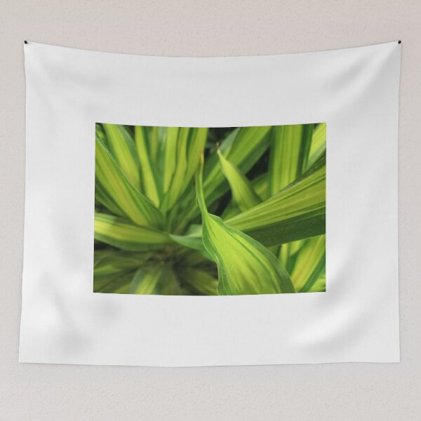 Item preview, natural green plants  designed and sold by wa2022.