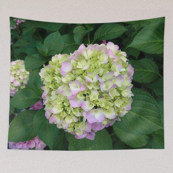 Item preview, Pink Splendor Hydrangea 2 original artwork designed and sold by paragonDesign28.