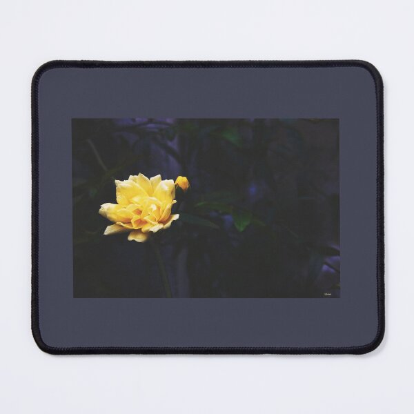 Item preview, Yellow Romantic Evening Rose designed and sold by RabeeasArtSpace.
