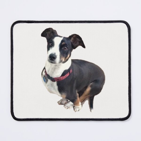 Item preview, Monty designed and sold by ascherf.