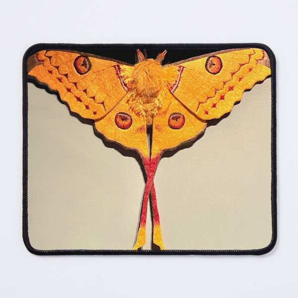 Item preview, Silk Embroidered Moth Sculpture designed and sold by ricoflinn.