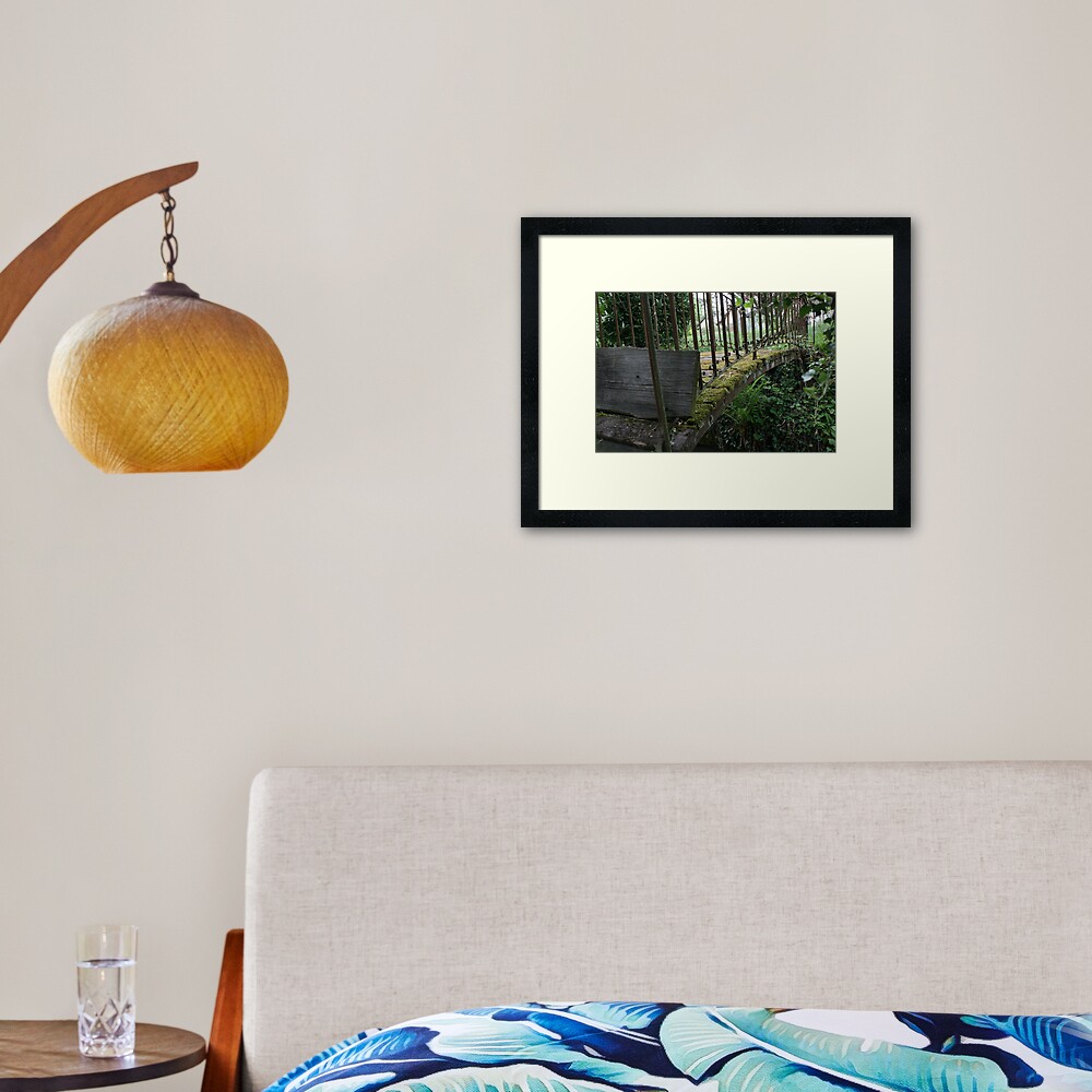The bridge Framed Art Print