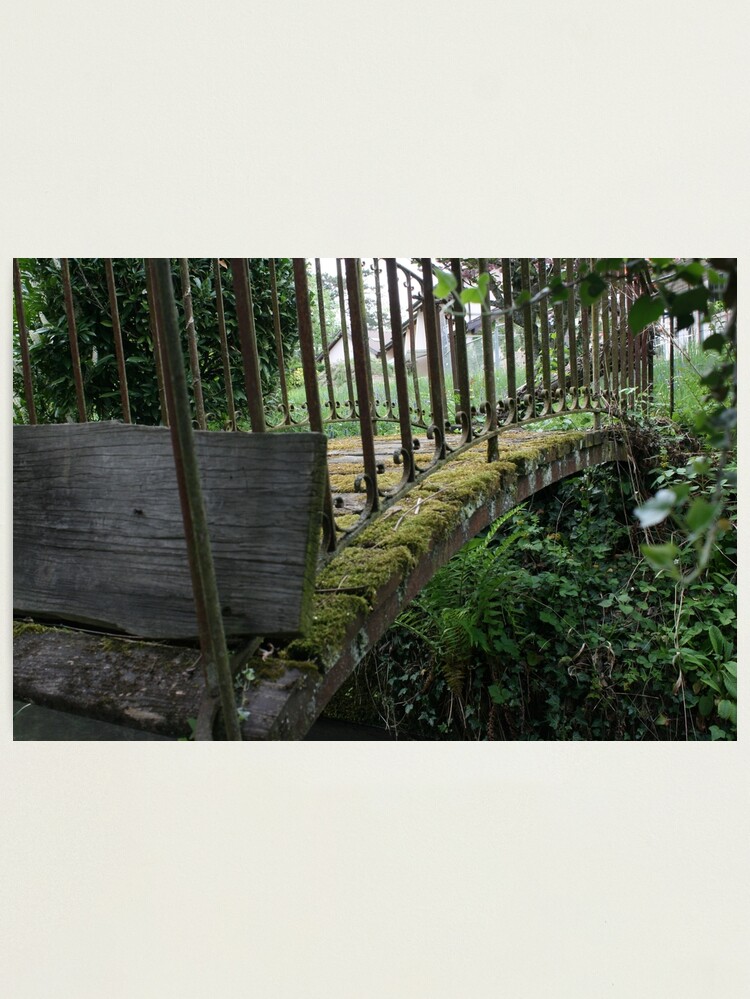 Alternate view of The bridge Photographic Print