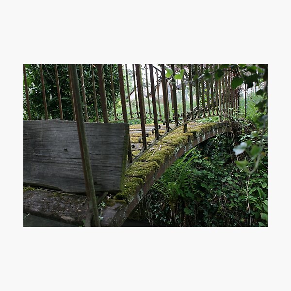 The bridge Photographic Print