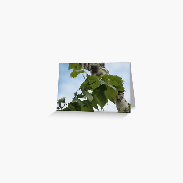 Shard of life Greeting Card