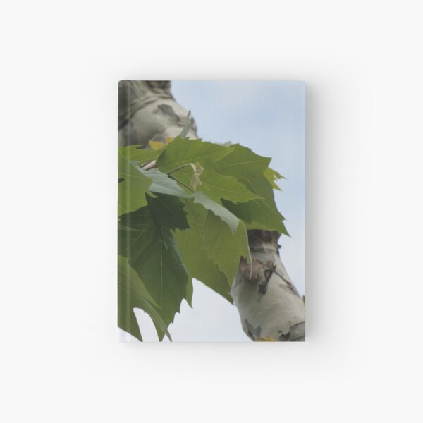 Shard of life Hardcover Journal