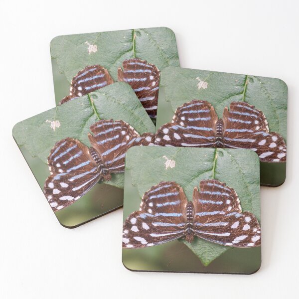 Item preview, Patches of White designed and sold by Tim Dusenberry.