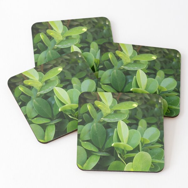 Item preview, ltree leaves arour designed and sold by gina-kemp.