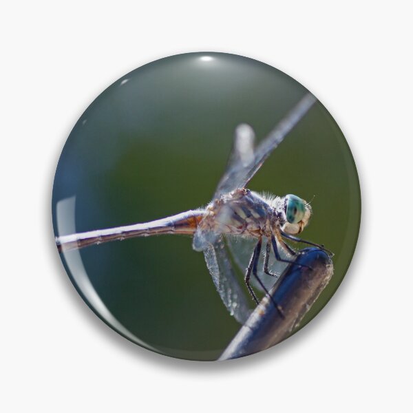 Item preview, Dragonfly designed and sold by Kenziewenze.