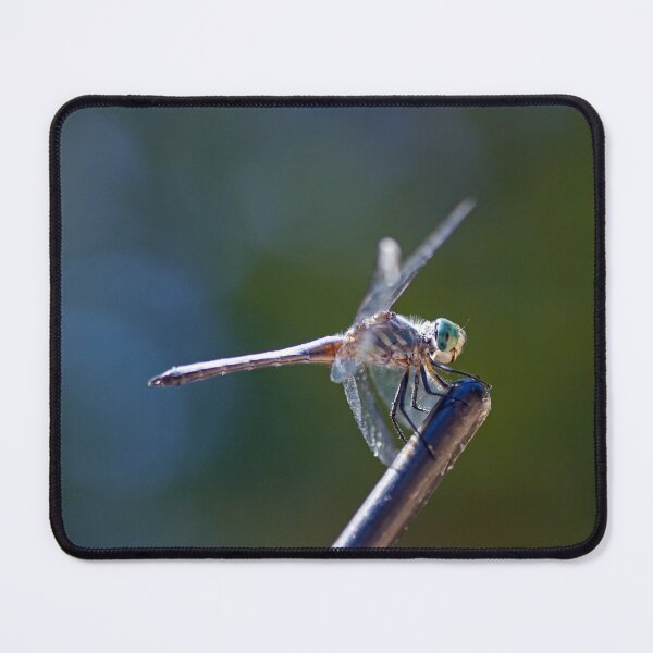 Item preview, Dragonfly designed and sold by Kenziewenze.