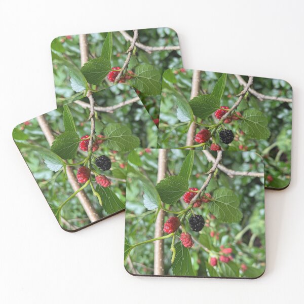 Item preview, Mullberry Branch In Late June designed and sold by bloomingvine.