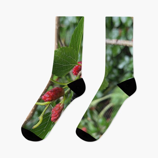 Item preview, Mullberry Branch In Late June designed and sold by bloomingvine.