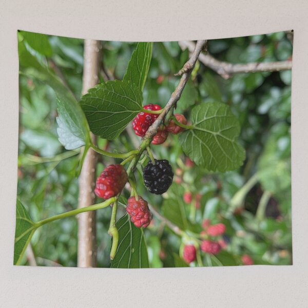 Item preview, Mullberry Branch In Late June designed and sold by bloomingvine.