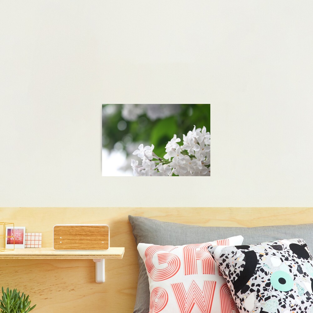 Spring Photographic Print