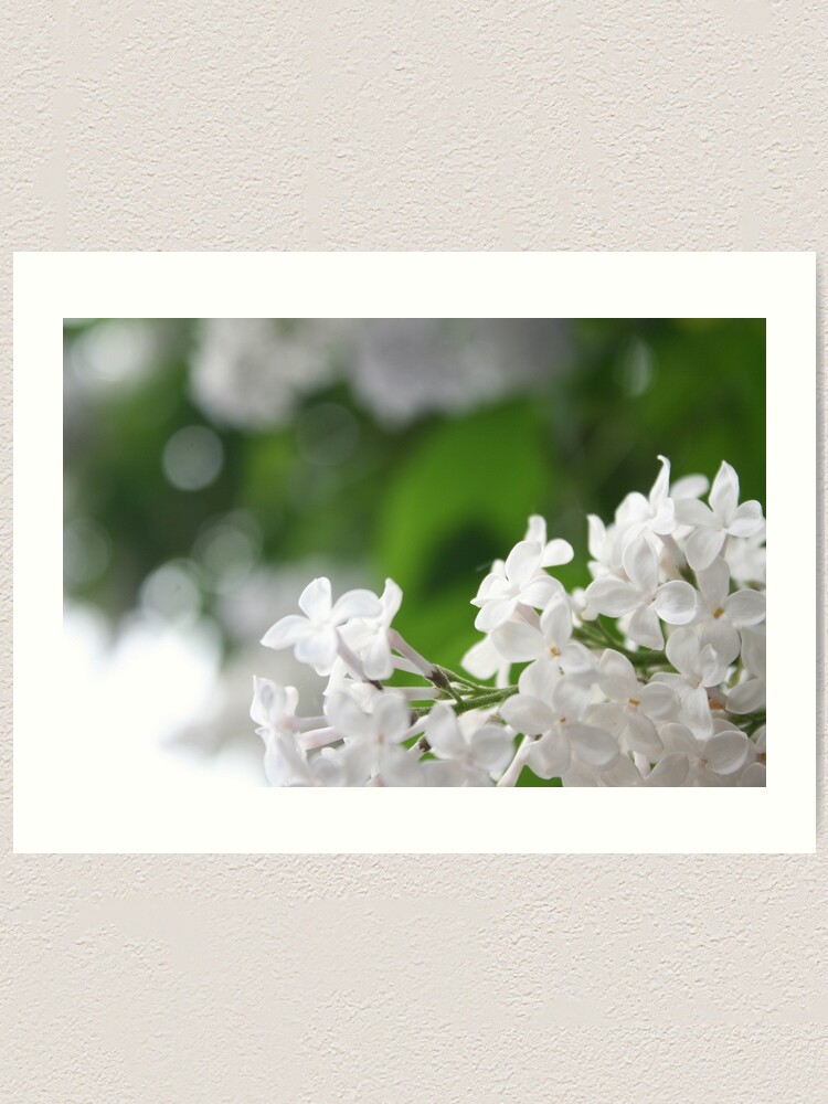 Alternate view of Spring Art Print