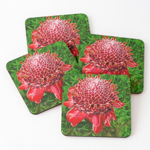 Item preview, Red torch ginger designed and sold by Alohamagic.