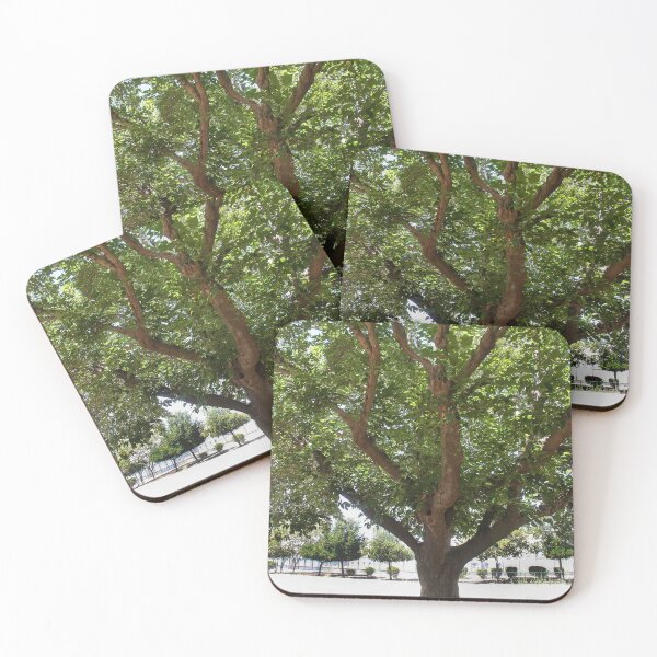 Item preview, Elderly Tree designed and sold by heatherfriedman.