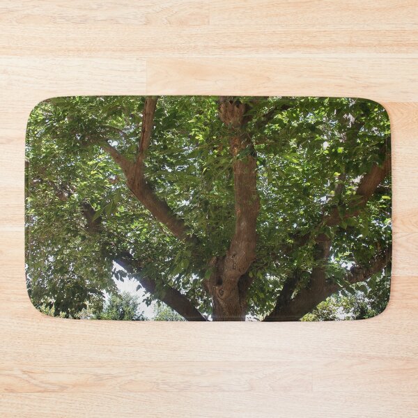 Item preview, Elderly Tree designed and sold by heatherfriedman.