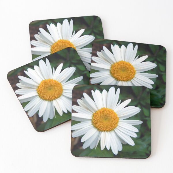 Item preview, Daily Daisy designed and sold by gistinker.