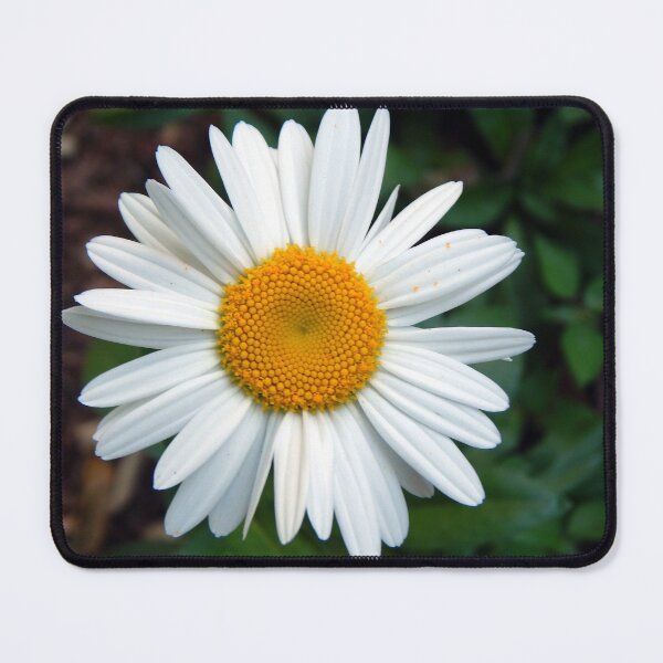 Item preview, Daily Daisy designed and sold by gistinker.