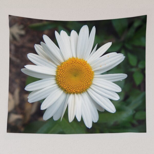 Item preview, Daily Daisy designed and sold by gistinker.