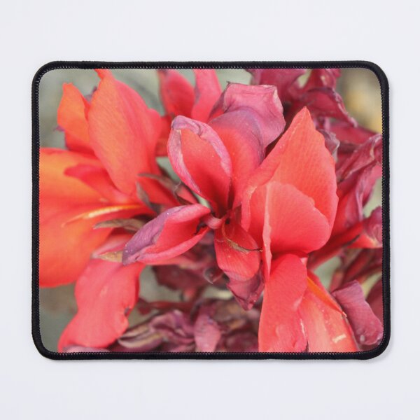 Item preview, Red Canna Lily designed and sold by PresMatPlays.