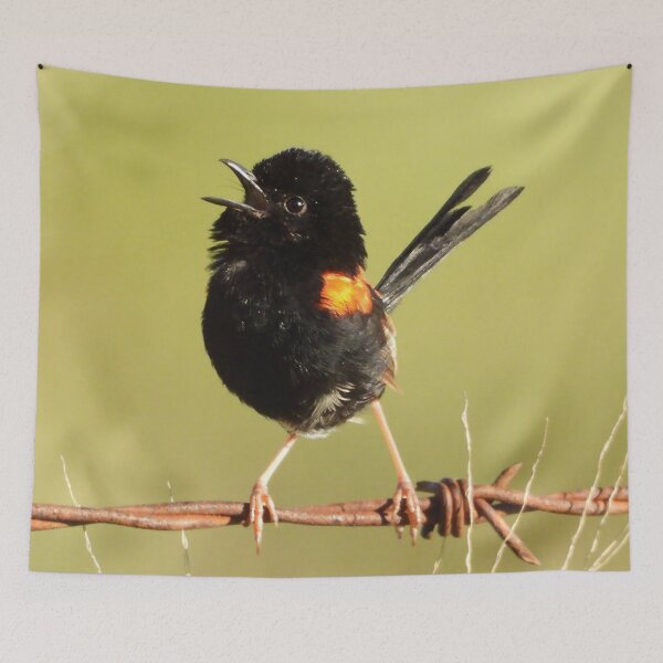 Item preview, Red-backed fairy wren singing. designed and sold by Jenny  Dyer.