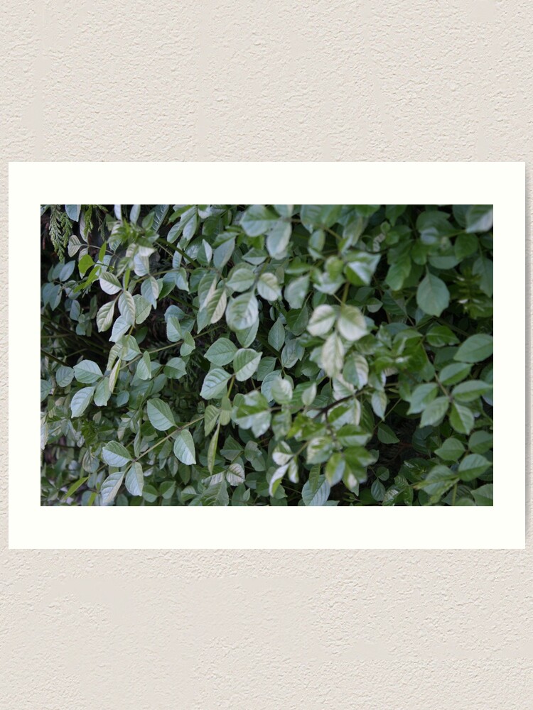 Alternate view of Green Art Print