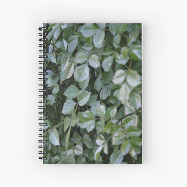 Green Spiral Notebook